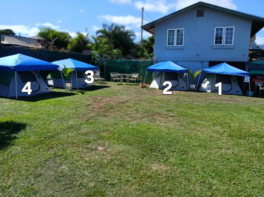 Robbins Estate Hotell Wailuku Rom bilde